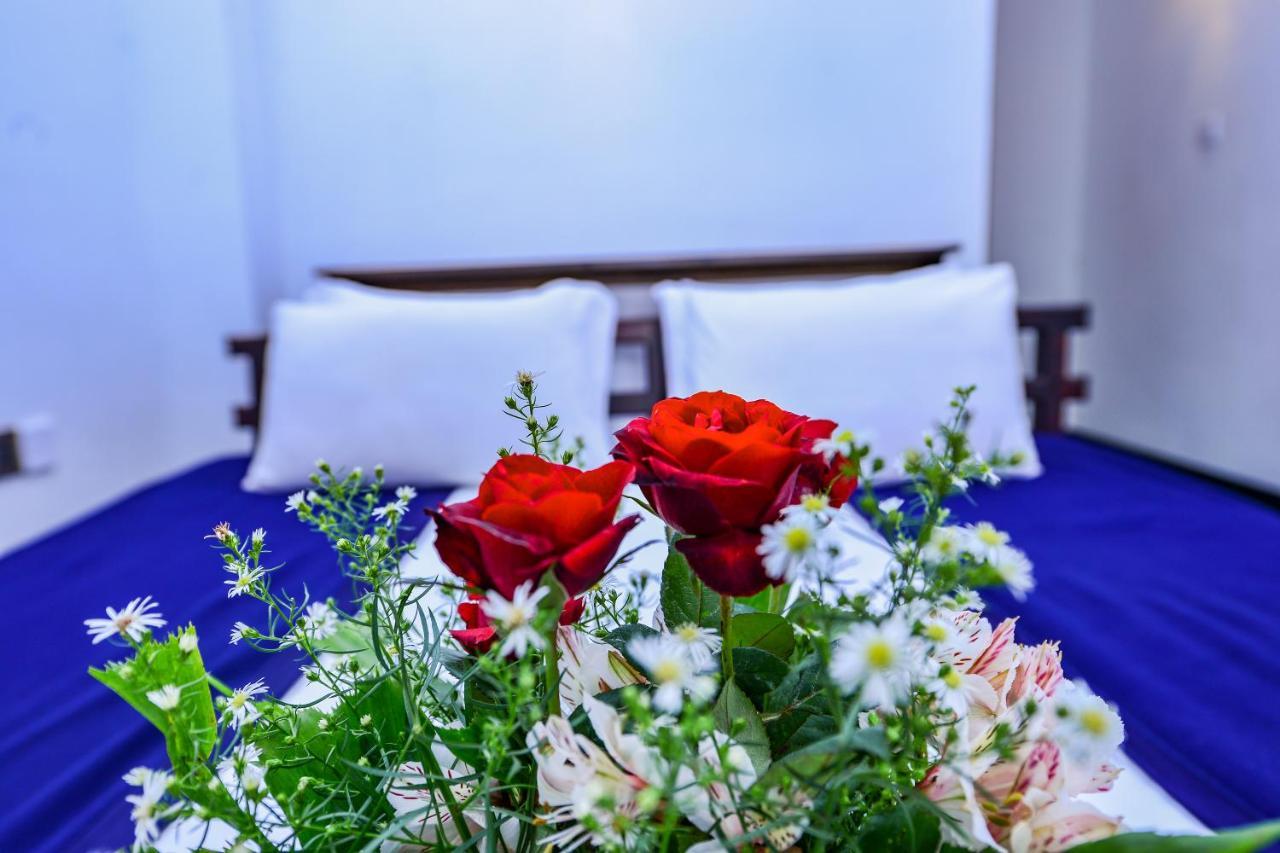Ella View Hotel エクステリア 写真